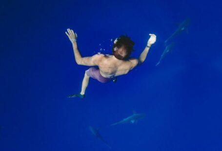 Diving Locations - man freediving with fishes