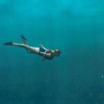 Shipwrecks For Diving - Photo of Woman Swimming Underwater