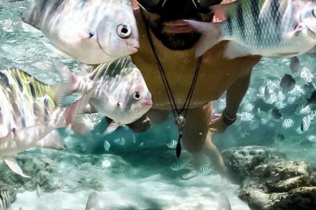 Shipwrecks For Diving - Underwater View of Man with Goggles and Fish