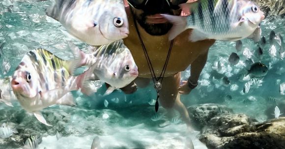 Shipwrecks For Diving - Underwater View of Man with Goggles and Fish