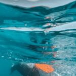 Snorkeling - Person in Water