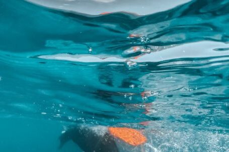 Snorkeling - Person in Water