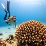 Diving Locations - a scuba diver swims over a coral reef