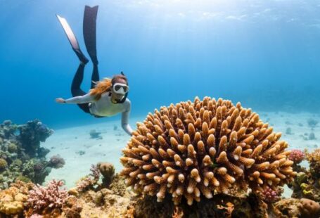 Diving Locations - a scuba diver swims over a coral reef