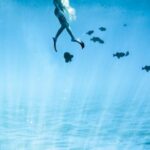 Diving Locations - Underwater Photography of Diver
