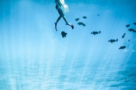 Diving Locations - Underwater Photography of Diver