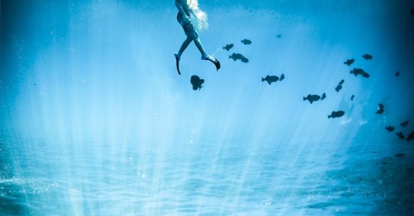 Diving Locations - Underwater Photography of Diver