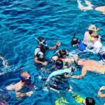 Snorkeling - People Swimming