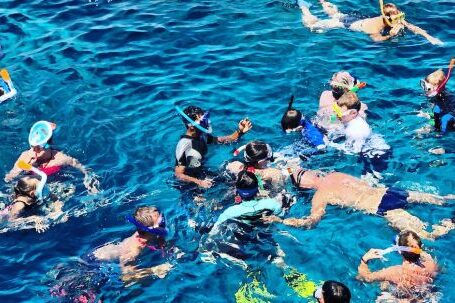 Snorkeling - People Swimming