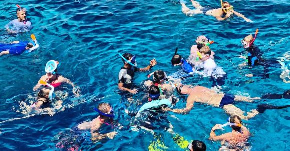 Snorkeling - People Swimming