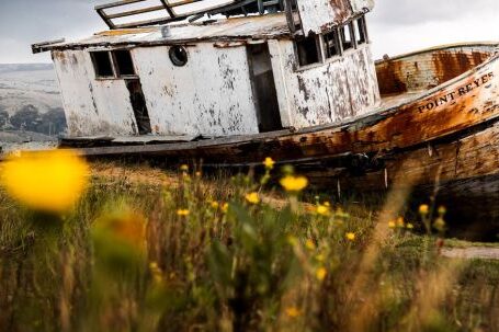 Sunken Ship - White Wooden Boat Adrift at Shore Under Grey Cloudy Sky