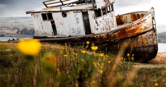 Sunken Ship - White Wooden Boat Adrift at Shore Under Grey Cloudy Sky