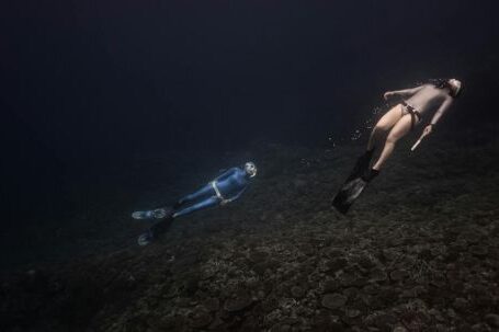 Scuba Diving - Two Scuba Divers Underwater