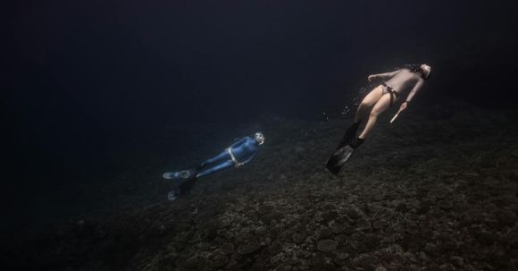 Scuba Diving - Two Scuba Divers Underwater