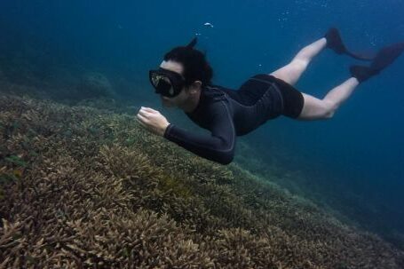 Snorkeling - Woman Swimming Underwater