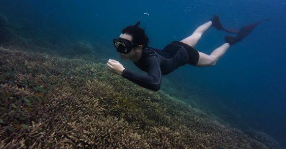 Snorkeling - Woman Swimming Underwater