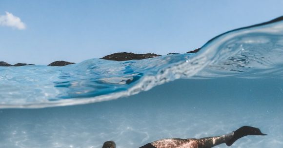 Diving Fins - A Diver Swimming Underwater