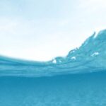 Snorkel - Man Diving on Body of Water
