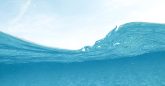 Snorkel - Man Diving on Body of Water