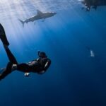 Wetsuit - Anonymous diver swimming undersea near big fish