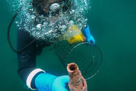 Scuba Diving - Scuba Diver on Deep Sea Holding a Net