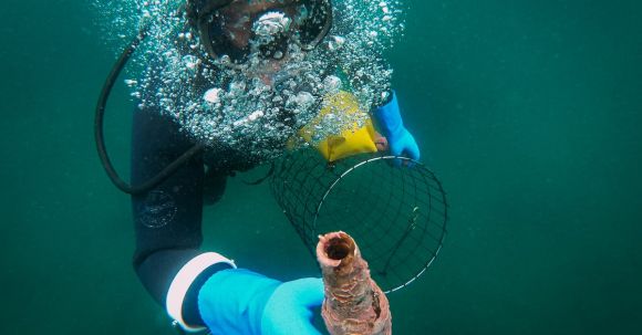 Scuba Diving - Scuba Diver on Deep Sea Holding a Net
