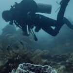 Diving Fins - Scuba Diver Floating Above Volcano Shaped Coral Structure 