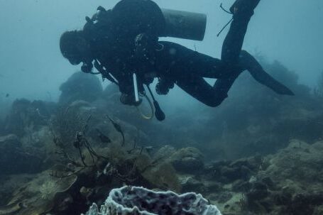 Diving Fins - Scuba Diver Floating Above Volcano Shaped Coral Structure 