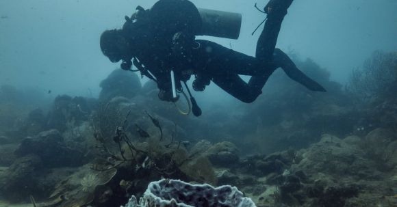 Diving Fins - Scuba Diver Floating Above Volcano Shaped Coral Structure 