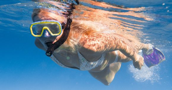 Snorkel - Full length of faceless female diving underwater in bikini and flippers with snorkeling mask in clear blue water