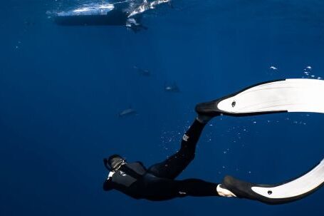 Wetsuit - Back view anonymous diver wearing wetsuit and flippers swimming in dark blue seawater