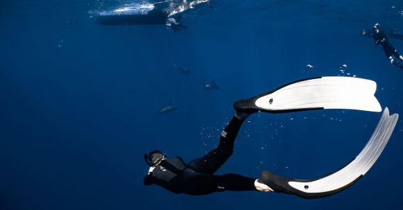 Wetsuit - Back view anonymous diver wearing wetsuit and flippers swimming in dark blue seawater