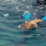 Scuba Diving - Scuba Diver on Water Surface Holding a Fish