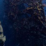 Snorkeling - Woman Swimming Underwater Near a Shipwreck