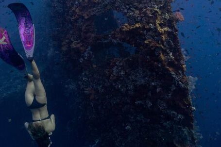 Snorkeling - Woman Swimming Underwater Near a Shipwreck