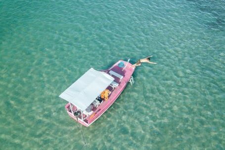 Diving Boat - A Motorboat on the Sea