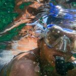 Diving Mask - Woman Wearing Goggles and Snorkel