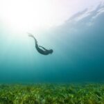 Scuba Diving - a person swimming in the water with grass