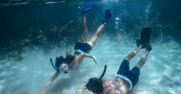 Snorkeling - Man and Woman Snorkeling