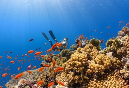 Diving Locations - a scuba diver swims over a colorful coral reef