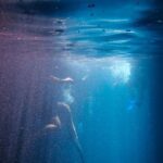 Diving Locations - Underwater Photography