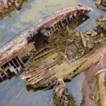 Shipwrecks - Top View of Wooden Shipwrecks