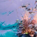 Diving Mask - Man Wearing Diving Mask Underwater Photo