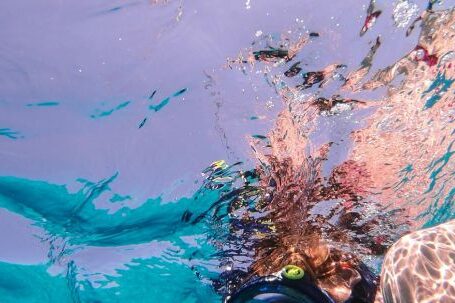 Diving Mask - Man Wearing Diving Mask Underwater Photo