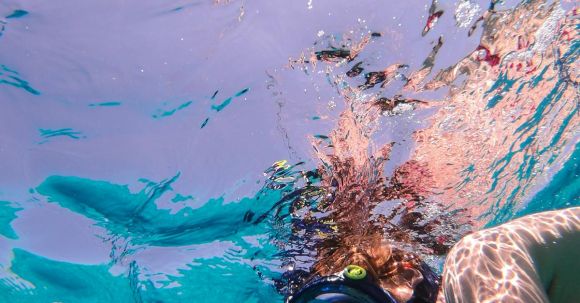 Diving Mask - Man Wearing Diving Mask Underwater Photo