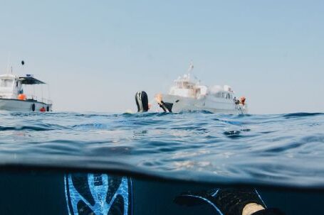 Snorkeling - Photo Of Person Submerged On Ocean