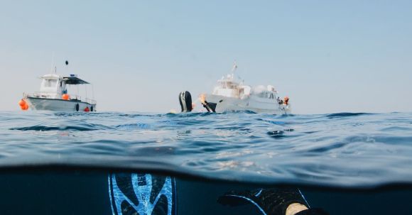 Snorkeling - Photo Of Person Submerged On Ocean