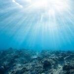 Marine - Underwater Photography of Ocean