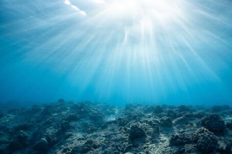 Marine - Underwater Photography of Ocean