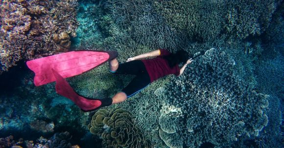 Snorkel - Woman in Body of Water